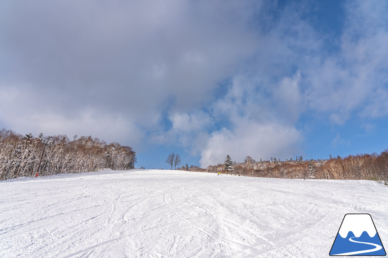 札幌国際スキー場｜積雪100cm超え！名物の急斜面『ダウンヒルコース』を含む、全てのコースが気持ち良～く滑走可能です(^^)/